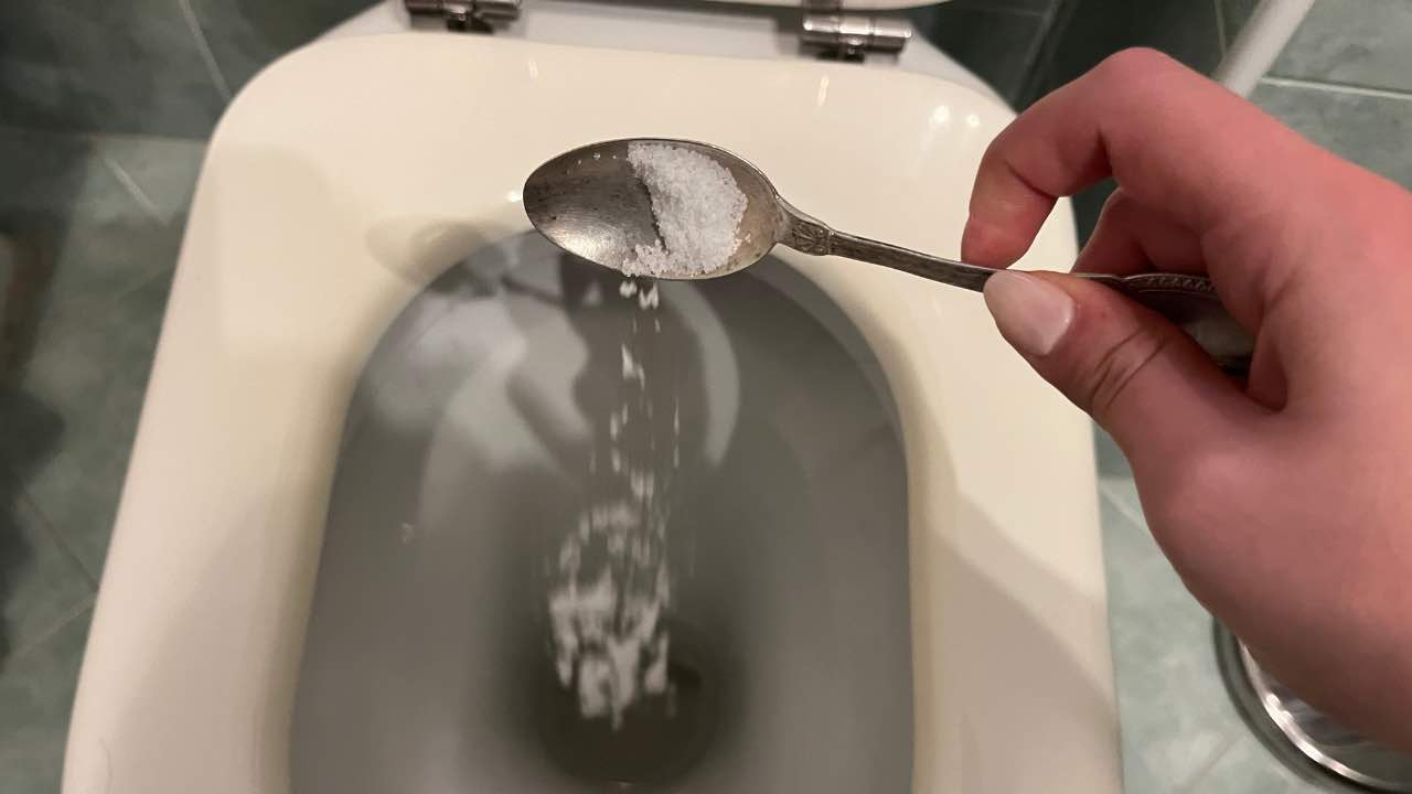 Inodoros súper limpios, el ingrediente natural del que no podrás prescindir