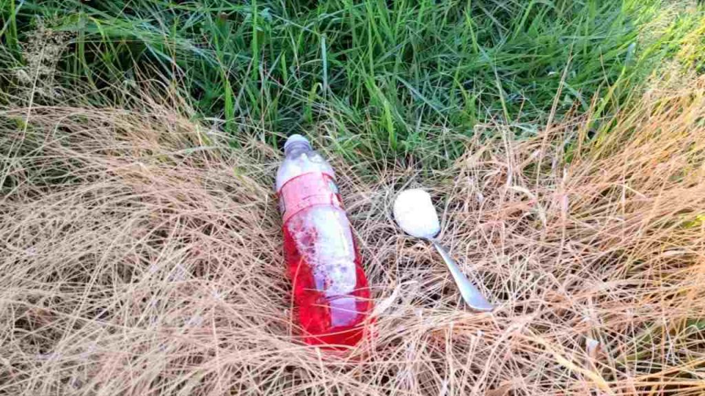 Jardín descuidado, solo con este ingrediente puedes eliminar todas las malezas y arbustos