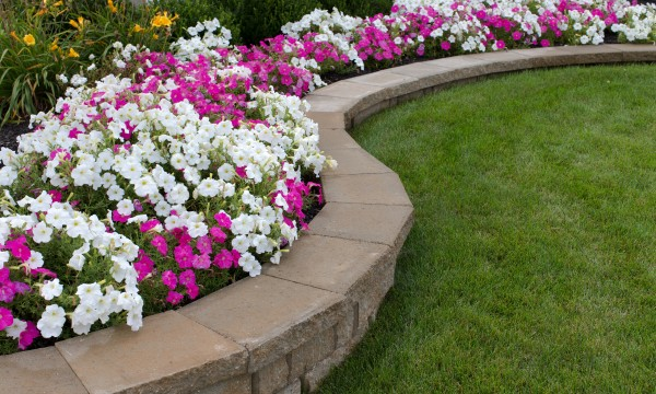 Jardinería: descubre los secretos de los paisajistas