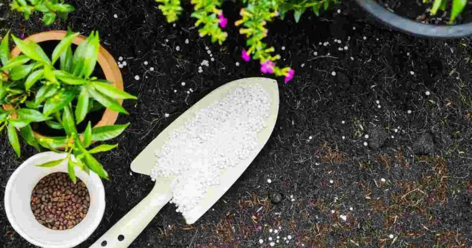 La infusion milagrosa que revive las plantas marchitas: Pruébela ahora