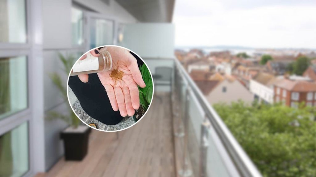 La razón inesperada por la que casi todos esparcen canela en el balcón en agosto