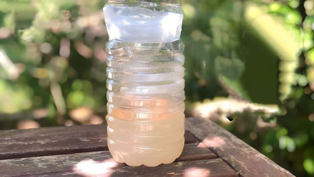 La trampa infalible para desterrar las moscas de la casa: no verás ninguna cerca