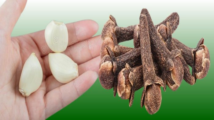 Las virtudes de la mezcla de clavo, ajo y miel