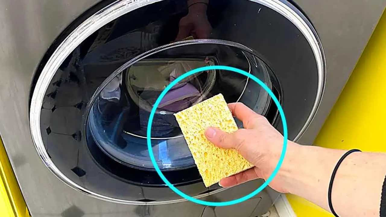 Lavadora, así es como eliminarás el pelo y las pelusas de la ropa: aquí te explicamos cómo hacerlo