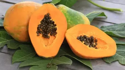 Los sorprendentes beneficios de las semillas de papaya: la joya oculta de la naturaleza