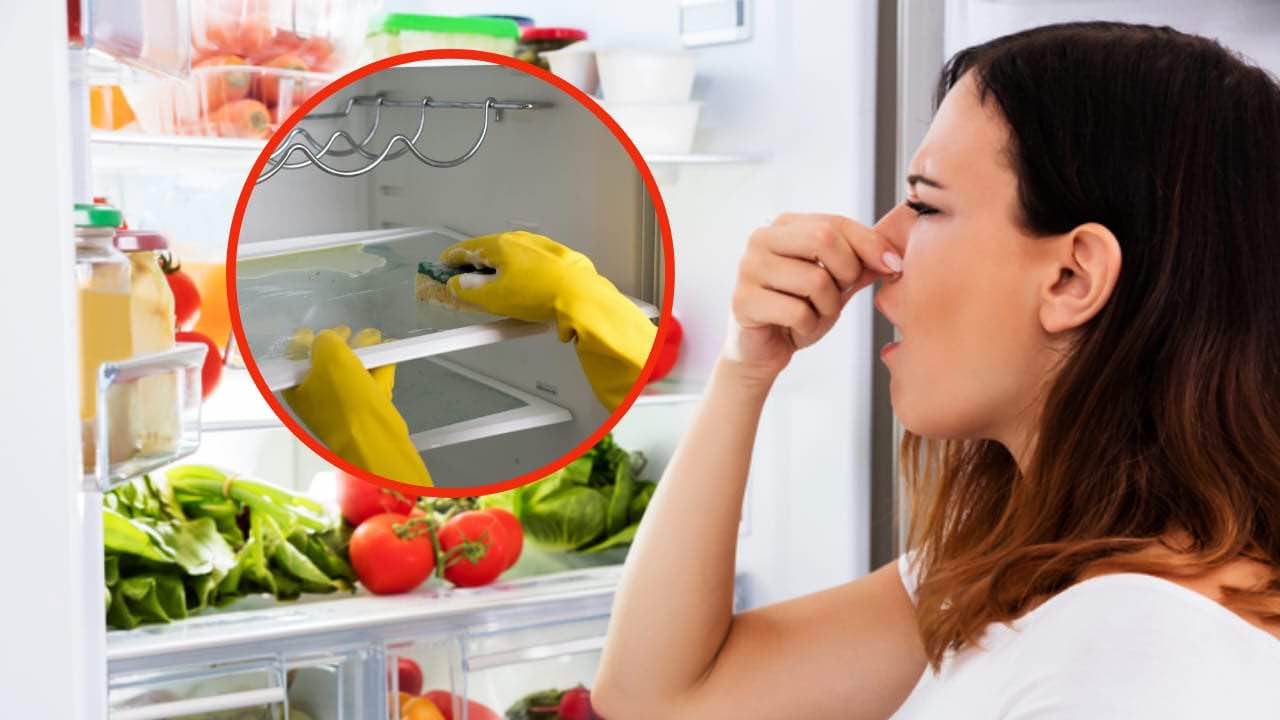 Malos olores en el refrigerador, cómo eliminarlos en un instante