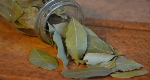 Mantén tu inodoro limpio e inodoro con un truco simple: hojas de laurel