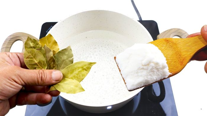 Mezcla AZÚCAR y JABÓN en agua hirviendo y no gastes más dinero en el mercado.