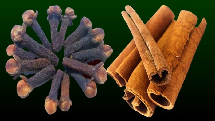 Mezcla clavos de olor, miel y canela y me lo agradecerás