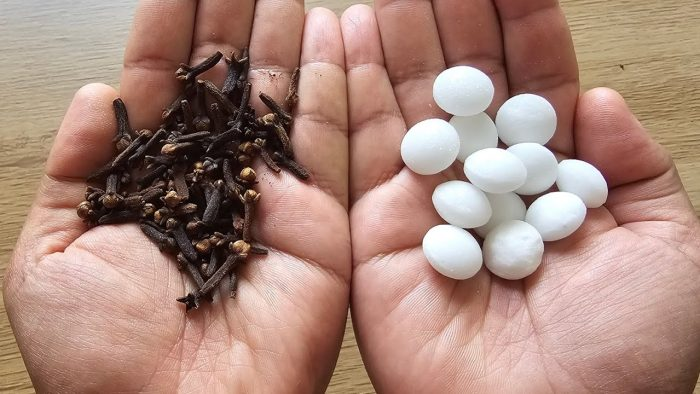 Mezcla de clavos de olor y bolas antipolilla: El secreto que nadie te revelará