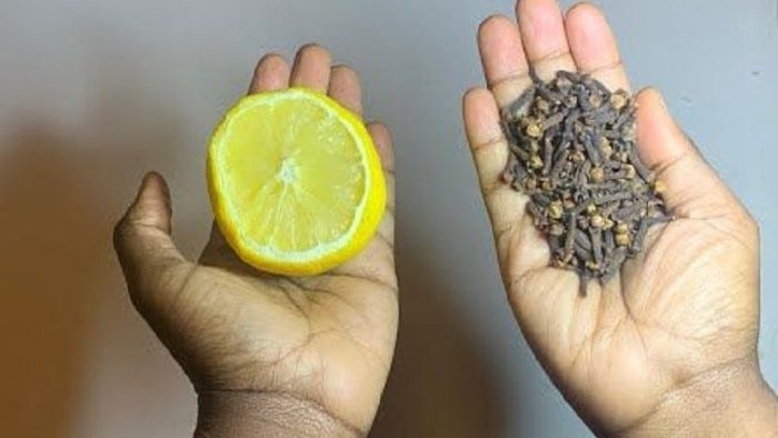 Mezcla limón y clavos de olor: el secreto que nadie te dirá, gracias después