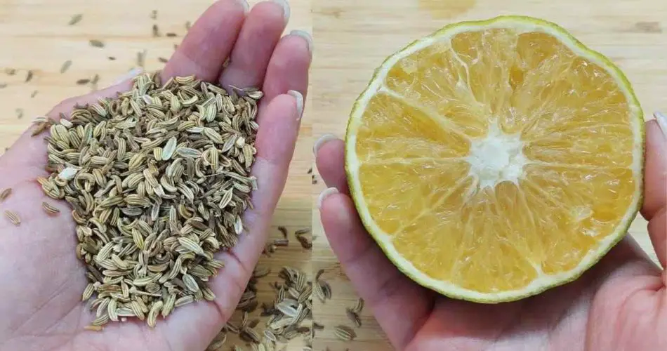 Mezcla una rodaja de limón con una pizca de romero: lo que sucede te sorprenderá