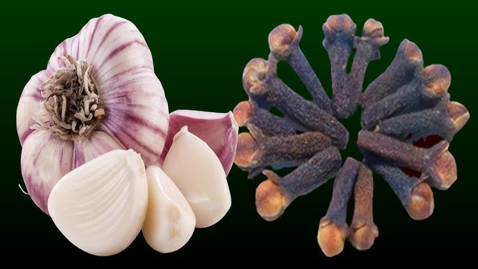 Mezclar ajo y miel con clavos: el secreto que nadie te contará