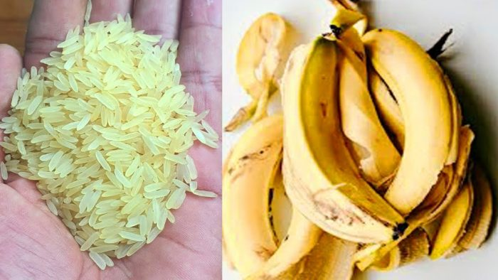 Mezclar cáscaras de plátano con arroz: el secreto que nadie te contará