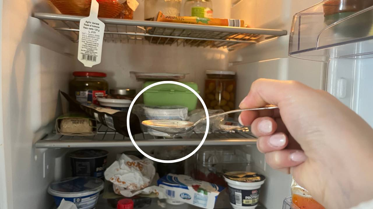Nunca más sientas carne o pescado podrido en el refrigerador gracias a esta solución rápida y efectiva