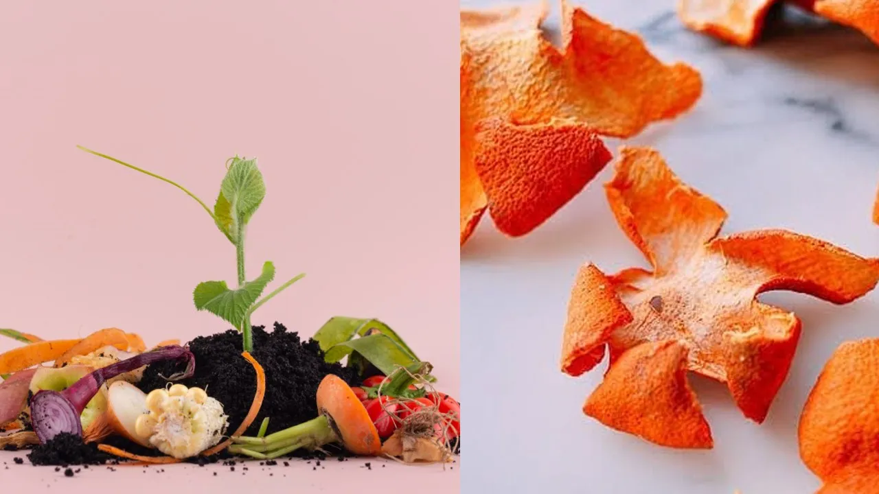 Paso a paso: Cómo hacer un fertilizante casero con cáscaras de mandarina y naranja