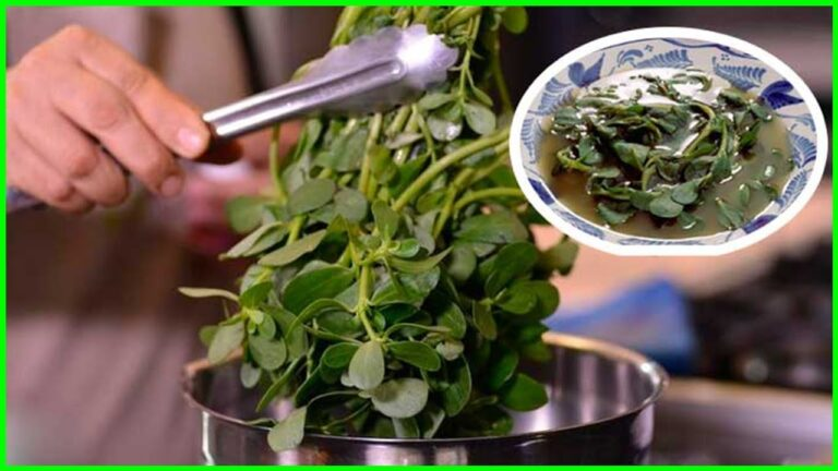 Por qué debes tener esta planta en el jardín