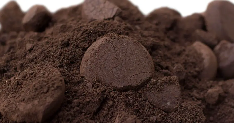 Posos de café: los uso exactamente como me enseñó mi abuela, ¡los aprovecho para todo!