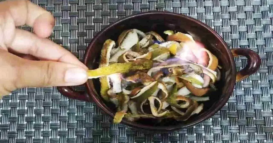 Quema las cáscaras de limón en casa y en pocos minutos te sorprenderás: esto es lo que pasa