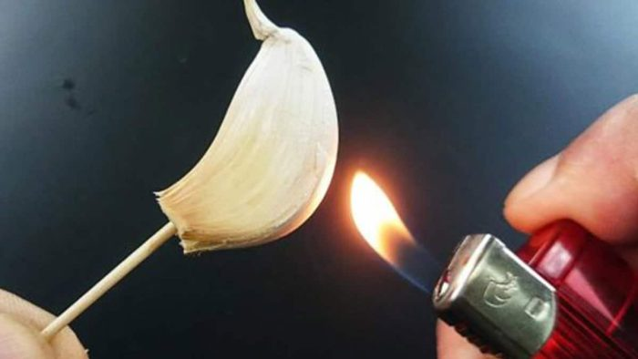 Quema un diente de ajo en casa y descubre los beneficios