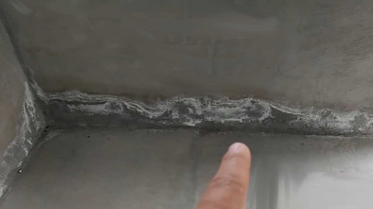 Salitre, cómo eliminar definitivamente el moho blanco de las paredes de tu casa