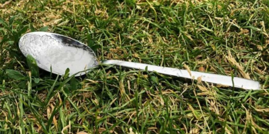 Siempre poner una cucharada de azúcar en el jardín: el gesto que podría salvar las plantas de todo el mundo.