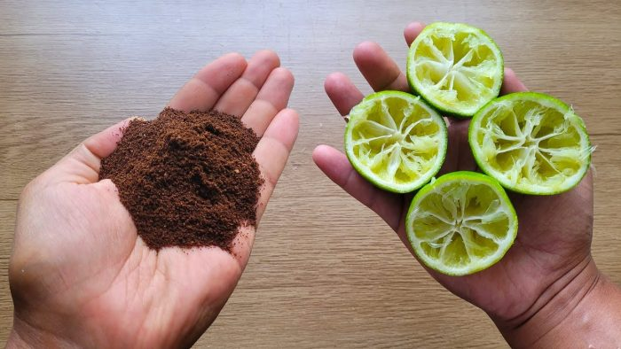 Simplemente mezcla CAFÉ EN POLVO y LIMÓN y ya no tendrás que comprarlo en el mercado