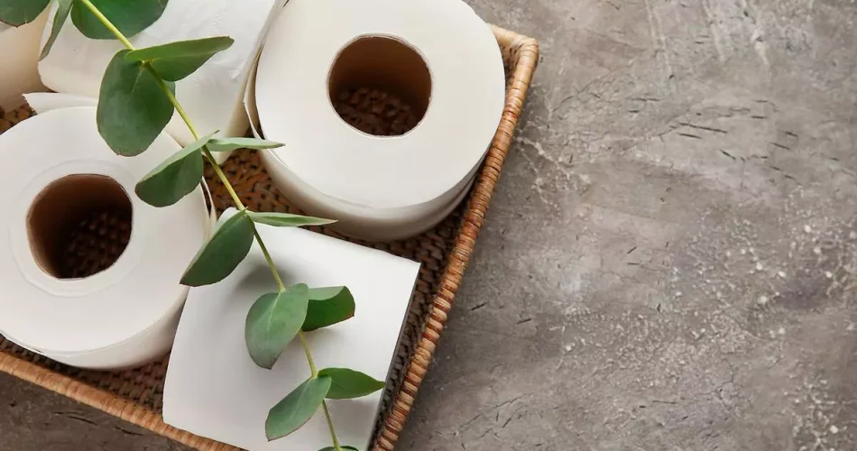 Solo tienes que espolvorear canela en el papel higiénico