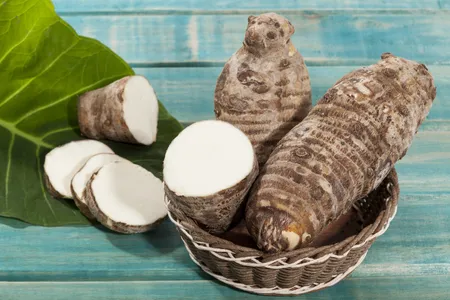 Taro (Colocasia esculenta): Liberando el poder de su raíz y más allá
