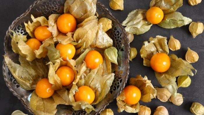 Uchuva o Uvilla: Un Tesoro de la Naturaleza