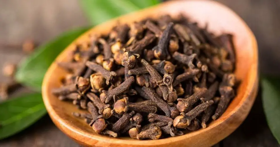 Un repelente natural para insectos con vinagre y clavos de olor