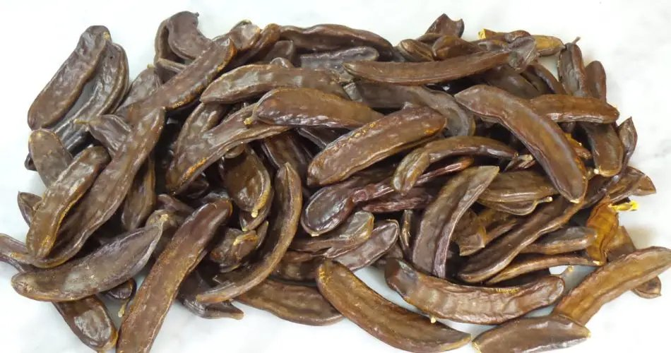 Uno de estos tesoros casi olvidados es la algarroba, una fruta antigua con propiedades nutricionales notables