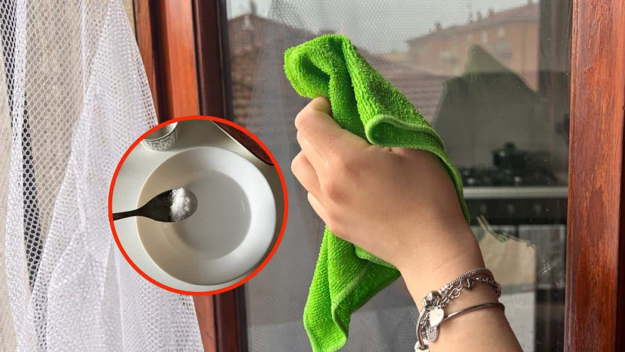 Vasos: este es el método utilizado en hoteles de 5 estrellas para limpiarlos sin dejar marcas