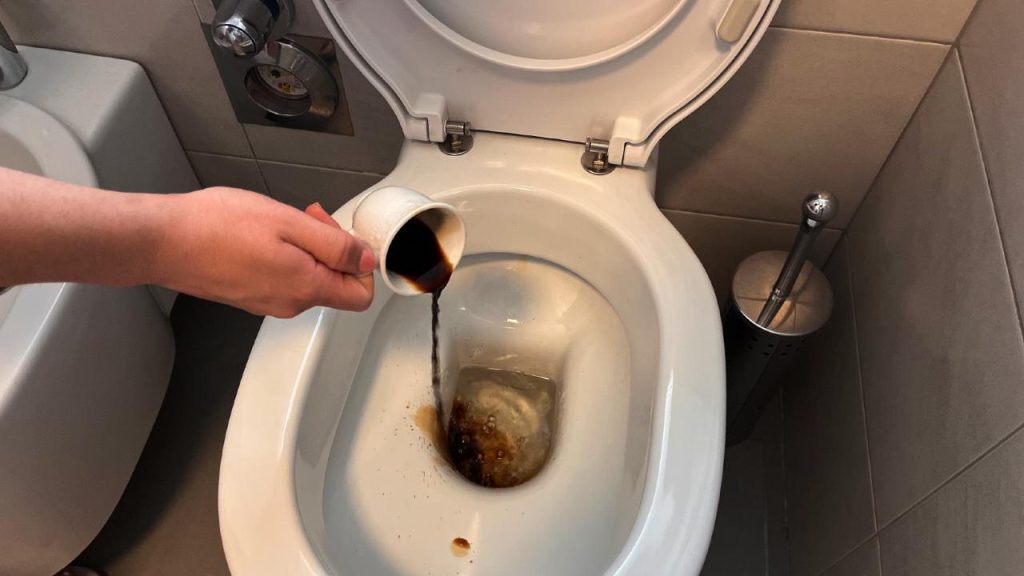 Vierte una taza de café en el inodoro y prepárate para presenciar algo único