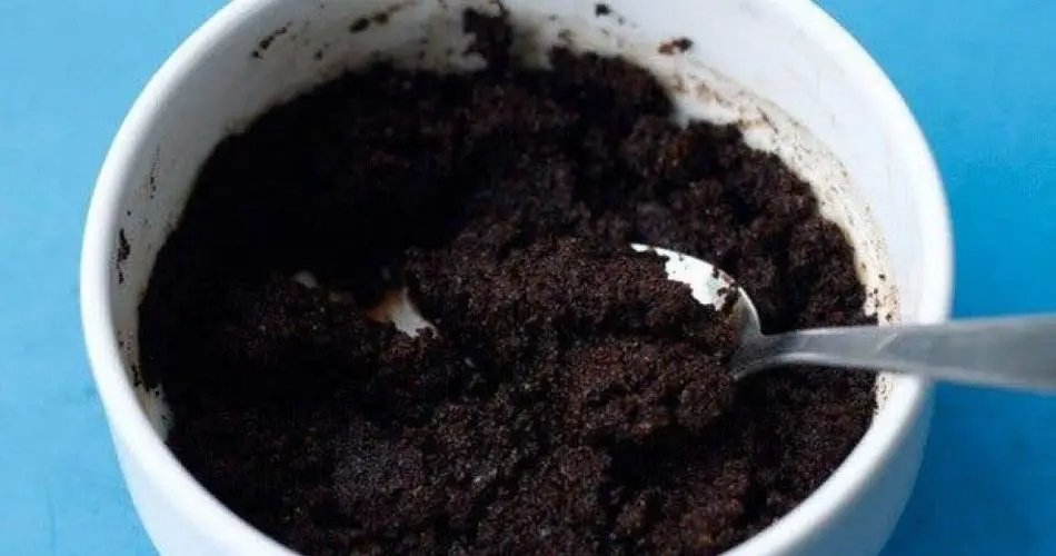 ¡No tires el café molido! 14 usos geniales que la gente no conoce