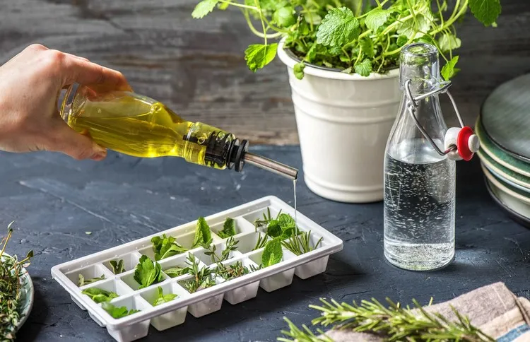 ¿Cómo congelar perejil fresco y otras hierbas aromáticas? Nuestros métodos sencillos