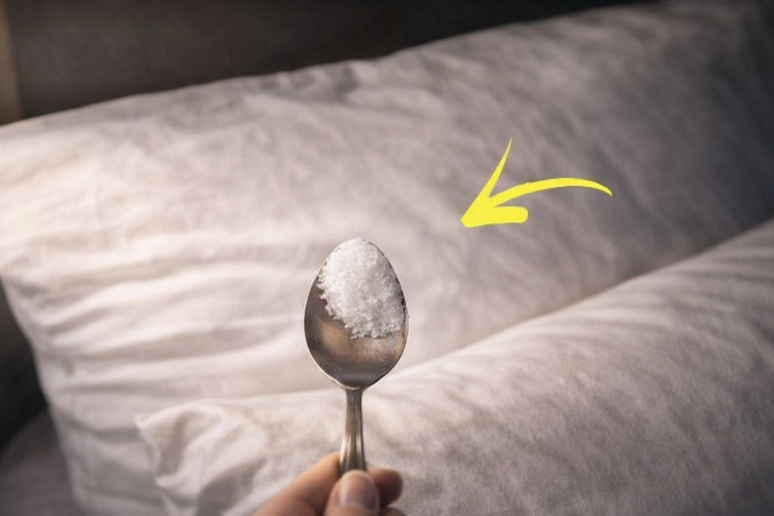 Harina, úsala en la cocina: recomendada también por los chefs