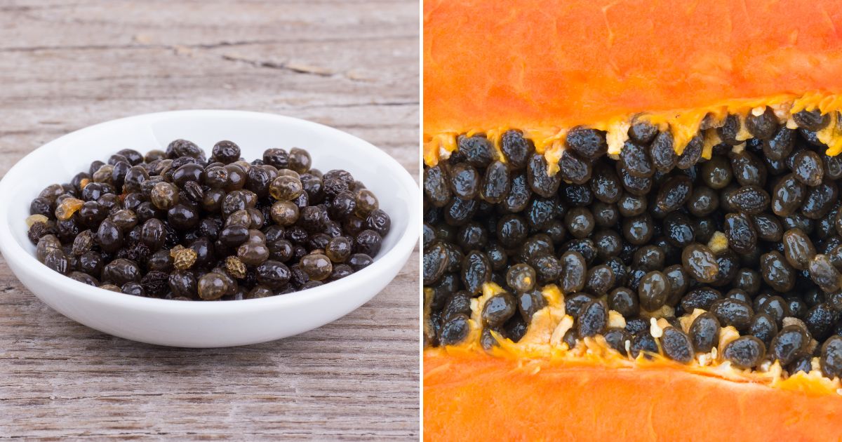 Aprovecha el Poder de las Semillas de Papaya: Una Guía de sus Beneficios para la Salud