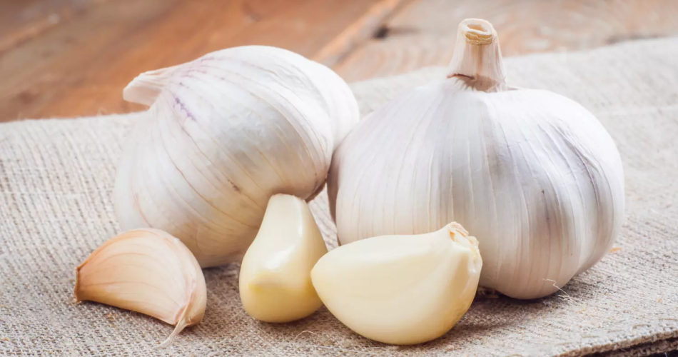 Basta con el ajo que se pudre en pocas semanas, aquí los consejos para conservarlo hasta 8 meses