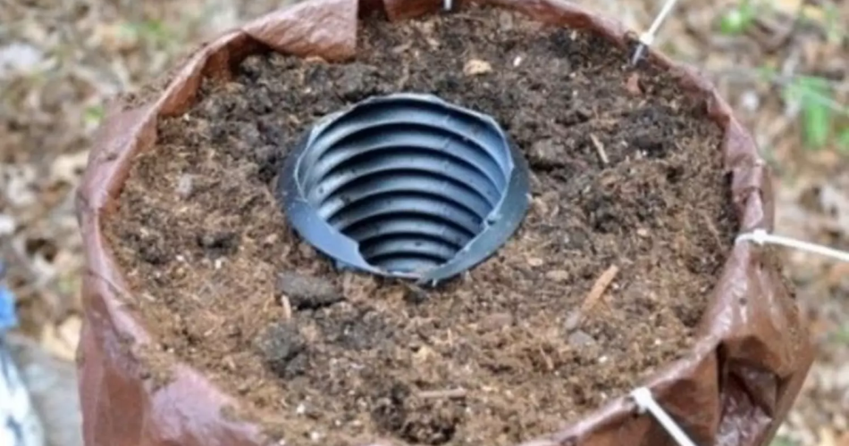 Coloca un tubo de plástico en el centro de la torre y añade un poco de tierra: el resultado será fantástico