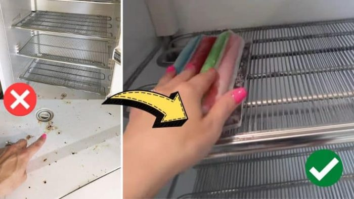 Cómo limpiar un refrigerador o congelador maloliente
