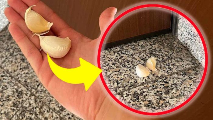 Dientes de ajo, todos corren a sacarlos de casa: ¡casi nadie los conoce! | ¡Este paso salva a millones de personas!