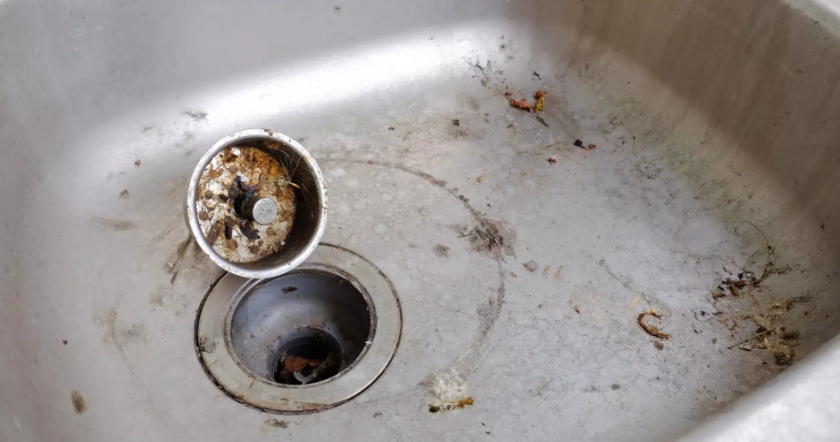 Este ingrediente que todos tenemos en la nevera puede eliminar los malos olores (¡y no es el limón!)