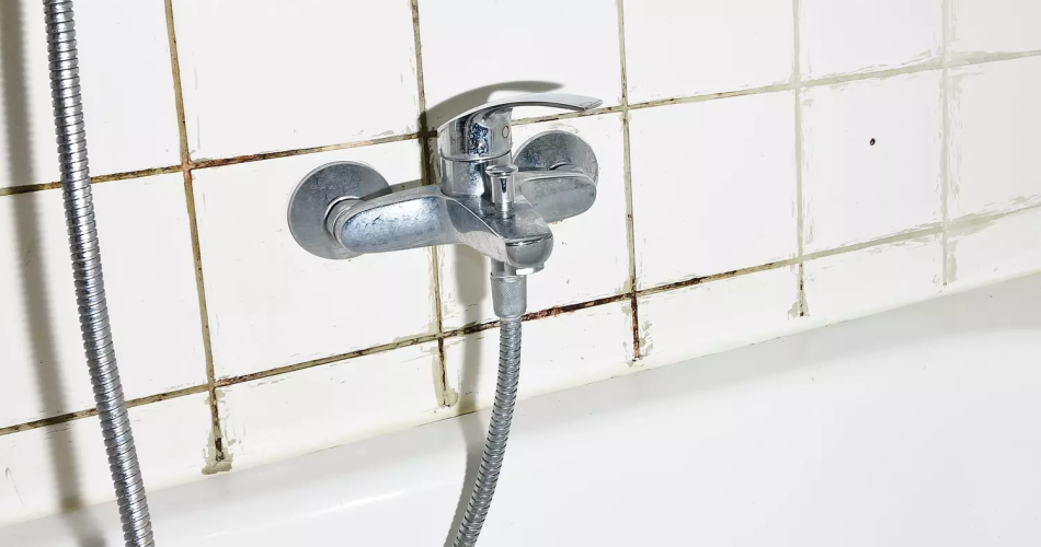 Limpia el molde de la ducha en solo 10 minutos y sin lejía: no volverá a aparecer jamás