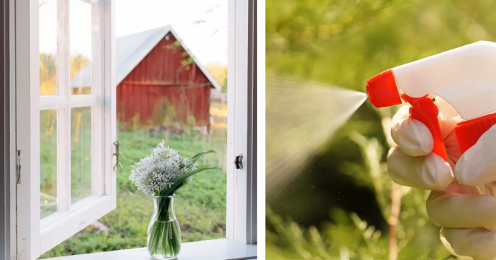 Nuestras abuelas siempre rociaban vinagre en las ventanas y años después esto aún funciona.