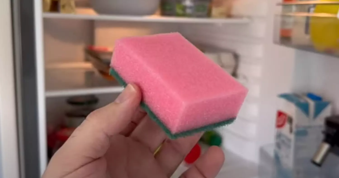 Pon una esponja de cocina en el frigorífico: descubre por qué deberías hacer lo mismo