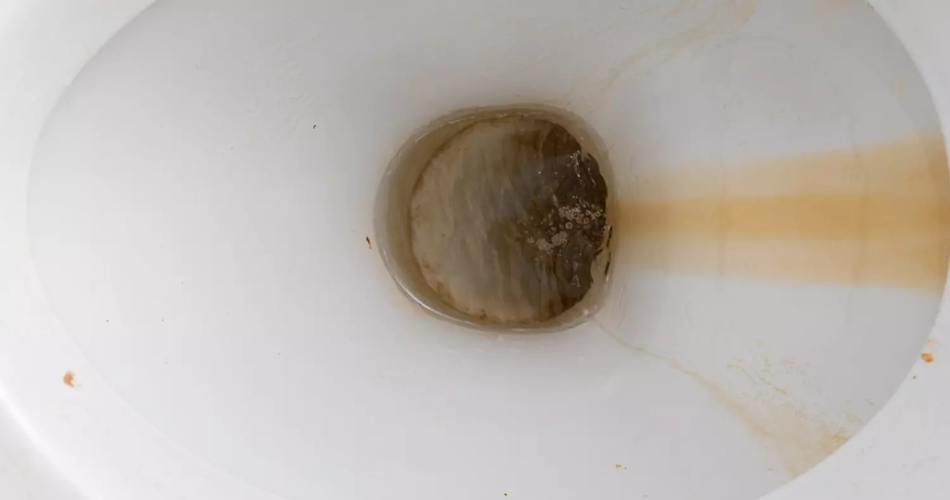Un experto explica cómo eliminar la cal y las manchas marrones del inodoro