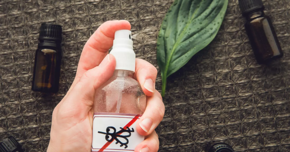 ¿Invadido por insectos verdes? Manténlos alejados fácilmente con este producto natural