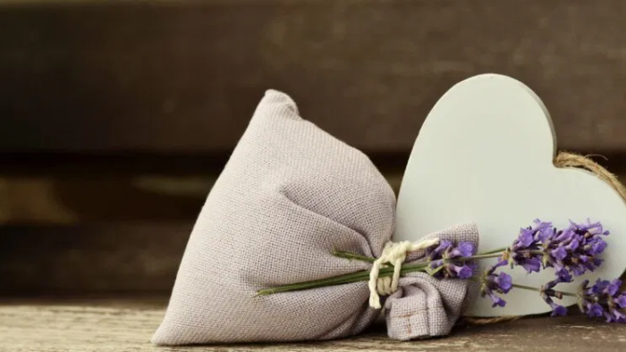 ¿Quieres cultivar lavanda en el balcón? No hay problema, aquí te revelamos los secretos de los mejores viveristas