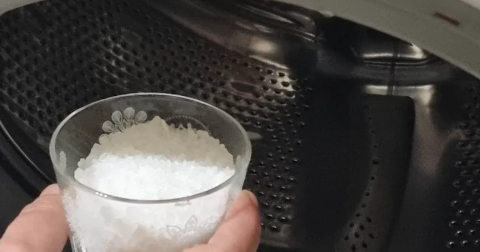 Lavadora, pon 1 vaso en el tambor cada mes: ahorrarás la mitad del dinero en la factura